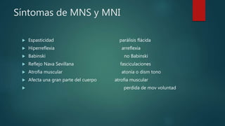Síntomas de MNS y MNI
 Espasticidad parálisis flácida
 Hiperreflexia arreflexia
 Babinski no Babinski
 Reflejo Nava Sevillana fasciculaciones
 Atrofia muscular atonía o dism tono
 Afecta una gran parte del cuerpo atrofia muscular
 perdida de mov voluntad
 