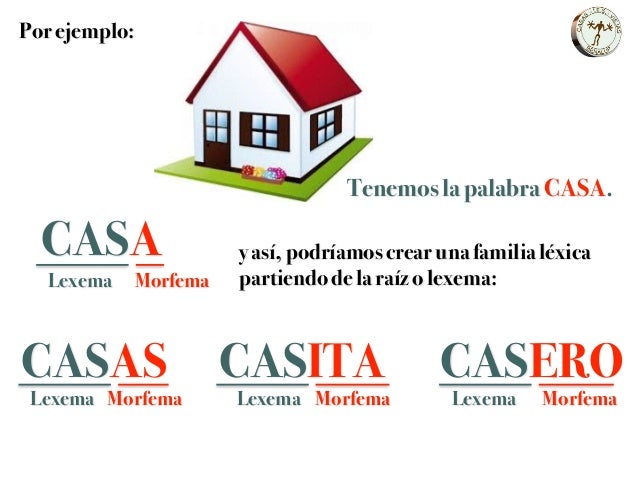 Repaso Unidad 1 (1ºESO)