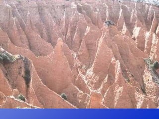 Repaso 1ª evaluación 2012