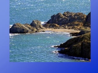 Repaso 1ª evaluación 2012