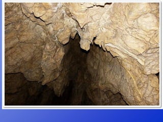 Repaso 1ª evaluación 2012