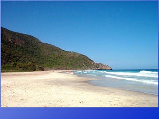 Repaso 1ª evaluación 2012