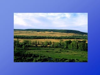 Repaso 1ª evaluación 2012