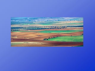 Repaso 1ª evaluación 2012