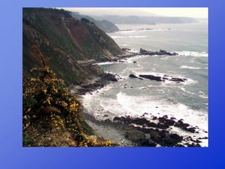 Repaso 1ª evaluación 2012