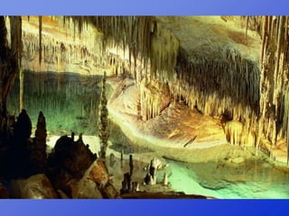 Repaso 1ª evaluación 2012