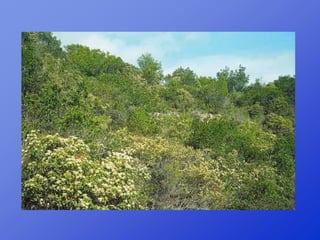 Repaso 1ª evaluación 2012