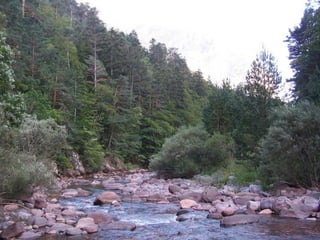 Repaso 1ª evaluación 2012