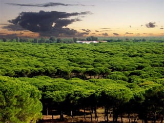 Repaso 1ª evaluación 2012