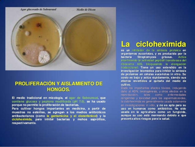 El ungüento chino para el tratamiento del hongo de la uña