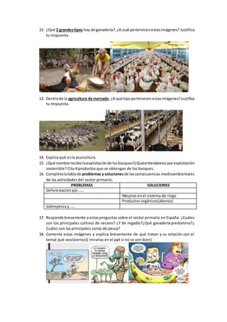 12. ¿Qué 2 grandestipos hay de ganadería?,¿A cuál pertenecenestasimágenes? Justifica
tu respuesta.
13. Dentrode la agricultura de mercado, ¿A qué tipopertenecenestasimágenes?Justifica
tu respuesta.
14. Explica qué es la acuicultura.
15. ¿Qué nombre recibe laexplotaciónde losbosques?¿Quéentendemosporexplotación
sostenible? Cita 4 productos que se obtengan de los bosques.
16. Completalatablade problemas y soluciones de lasconsecuencias medioambientales
de las actividades del sector primario.
PROBLEMAS SOLUCIONES
Deforestación por……
Mejoras en el sistema de riego
Productos orgánicos(abonos)
Sobrepesca y …..
17. Responde brevemente a estas preguntas sobre el sector primario en España. ¿Cuáles
son los principales cultivos de secano? ¿Y de regadío?¿Qué ganadería predomina?¿
Cuáles son las principales zonas de pesca?
18. Comenta estas imágenes y explica brevemente de qué tratan y su relación con el
tema( qué veo/pienso)( mirarlas en el ppt si no se ven bien)
 