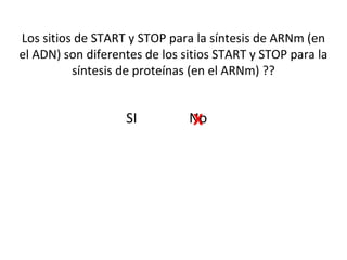 Los sitios de START y STOP para la síntesis de ARNm (en
el ADN) son diferentes de los sitios START y STOP para la
síntesis de proteínas (en el ARNm) ??
SI NoX
 