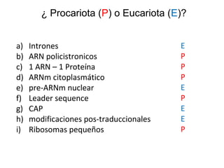 ¿ Procariota (P) o Eucariota (E)?
a) Intrones
b) ARN policistronicos
c) 1 ARN – 1 Proteína
d) ARNm citoplasmático
e) pre-ARNm nuclear
f) Leader sequence
g) CAP
h) modificaciones pos-traduccionales
i) Ribosomas pequeños
E
P
P
P
E
P
E
E
P
 
