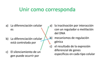 Unir como corresponda
a) La diferenciación celular
es
b) La diferenciación celular
está controlada por
c) El silenciamiento de un
gen puede ocurrir por
a) la inactivación por interacción
con un regulador o metilación
del DNA
b) mecanismos de regulación
génica
c) el resultado de la expresión
diferencial de genes
específicos en cada tipo celular
 