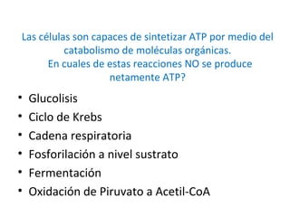 Las células son capaces de sintetizar ATP por medio del
catabolismo de moléculas orgánicas.
En cuales de estas reacciones NO se produce
netamente ATP?
• Glucolisis
• Ciclo de Krebs
• Cadena respiratoria
• Fosforilación a nivel sustrato
• Fermentación
• Oxidación de Piruvato a Acetil-CoA
 