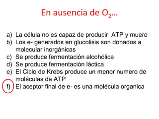 En ausencia de O2…
a) La célula no es capaz de producir ATP y muere
b) Los e- generados en glucolisis son donados a
molecular inorgánicas
c) Se produce fermentación alcohólica
d) Se produce fermentación láctica
e) El Ciclo de Krebs produce un menor numero de
moléculas de ATP
f) El aceptor final de e- es una molécula organica
 