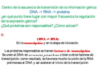 Dentro delasecuenciadetransmisión delainformación génica
DNA -> RNA -> proteína
¿en quépunto tienelugar con mayor frecuencialaregulación
delaexpresión génica?
¿Quéproteínasson responsables?¿Cómo actúan?
R:
 (DNA -> RNA)
En la transcripción y en laetapadeiniciación.
Lasproteínasresponsablessellaman factores de transcripción 
Seunen al DNA en secuencias pro mo to ras o bien aotrosfactoresde
transcripción; como resultado, sefavorecemucho launión delaRNA
polimerasaal DNA y así aceleran el inicio delatranscripción
 