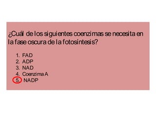 ¿Cuál delossiguientescoenzimassenecesitaen
lafaseoscuradelafotosíntesis?
1.  FAD
2. ADP
3.  NAD
4.  CoenzimaA
5.   NADP
 