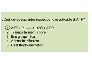 ¿Cuál delossiguientessupuestosno esaplicableal ATP?
1.  ATP+ Pi ------> H2O + ADP
2.  Transportaenergíalibre
3.  Energíaquímica
4.  Adenosín trifosfato.
5.  Esel fluido energético
 