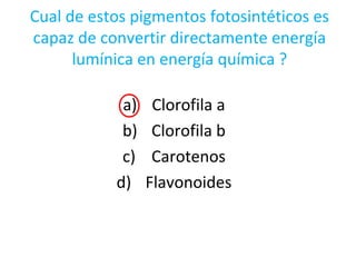 Cual de estos pigmentos fotosintéticos es
capaz de convertir directamente energía
lumínica en energía química ?
a) Clorofila a
b) Clorofila b
c) Carotenos
d) Flavonoides
 