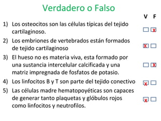 Verdadero o Falso
1) Los osteocitos son las células típicas del tejido
cartilaginoso.
2) Los embriones de vertebrados están formados
de tejido cartilaginoso
3) El hueso no es materia viva, esta formado por
una sustancia intercelular calcificada y una
matriz impregnada de fosfatos de potasio.
4) Los linfocitos B y T son parte del tejido conectivo
5) Las células madre hematopoyéticas son capaces
de generar tanto plaquetas y glóbulos rojos
como linfocitos y neutrofilos.
V F
X X
X
X
X
X
 