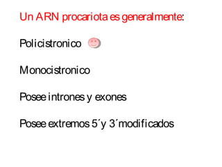 Un ARN procariotaesgeneralmente:
Policistronico
Monocistronico
Poseeintronesy exones
Poseeextremos5´y 3´modificados
 