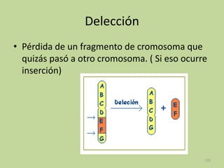 Delección
• Pérdida de un fragmento de cromosoma que
quizás pasó a otro cromosoma. ( Si eso ocurre
inserción)

110

 