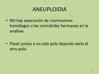 ANEUPLOIDIA
• NO hay separación de cromosomas
homólogos o las cromátides hermanas en la
anafase.
• Pasan juntas a un solo polo dejando vacío el
otro polo.

115

 