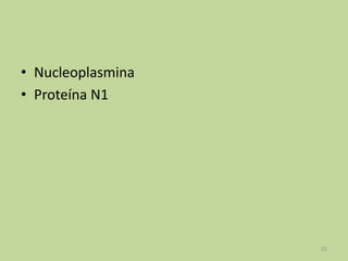 • Nucleoplasmina
• Proteína N1

22

 