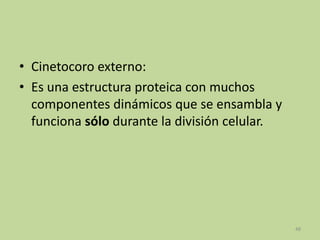 • Cinetocoro externo:
• Es una estructura proteica con muchos
componentes dinámicos que se ensambla y
funciona sólo durante la división celular.

48

 