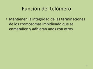 Función del telómero
• Mantienen la integridad de las terminaciones
de los cromosomas impidiendo que se
enmarañen y adhieran unos con otros.

52

 