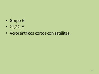 • Grupo G
• 21,22, Y
• Acrocéntricos cortos con satélites.

62

 