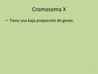 Cromosoma X
• Tiene una baja proporción de genes.

63

 