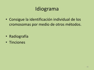 Idiograma
• Consigue la identificación individual de los
cromosomas por medio de otros métodos.
• Radiografía
• Tinciones

68

 