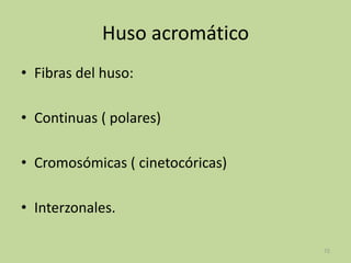 Huso acromático
• Fibras del huso:
• Continuas ( polares)
• Cromosómicas ( cinetocóricas)
• Interzonales.
72

 