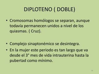 DIPLOTENO ( DOBLE)
• Cromosomas homólogos se separan, aunque
todavía permanecen unidos a nivel de los
quiasmas. ( Cruz).
• Complejo sinaptonémico se desintegra.
• En la mujer este periodo es tan largo que va
desde el 3° mes de vida intrauterina hasta la
pubertad como mínimo.
99

 