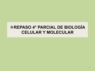 REPASO 4° PARCIAL DE BIOLOGÍA
CELULAR Y MOLECULAR

1

 