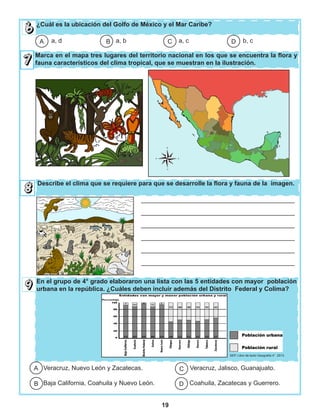 19
¿Cuál es la ubicación del Golfo de México y el Mar Caribe?
Marca en el mapa tres lugares del territorio nacional en los que se encuentra la flora y
fauna característicos del clima tropical, que se muestran en la ilustración.
Describe el clima que se requiere para que se desarrolle la flora y fauna de la imagen.
En el grupo de 4° grado elaboraron una lista con las 5 entidades con mayor población
urbana en la república. ¿Cuáles deben incluir además del Distrito Federal y Colima?
a, d a, b a, c b, cDCBA
____________________________________________
____________________________________________
____________________________________________
____________________________________________
____________________________________________
____________________________________________
Veracruz, Nuevo León y Zacatecas. Veracruz, Jalisco, Guanajuato.
Baja California, Coahuila y Nuevo León. Coahuila, Zacatecas y Guerrero.D
C
B
A
SEP, Libro de texto Geografía 4°. 2013.
 