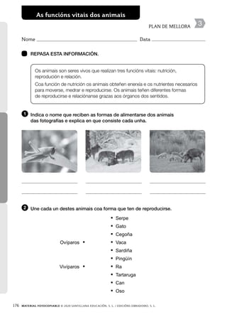 176 MATERIAL FOTOCOPIABLE © 2020 SANTILLANA EDUCACIÓN, S. L. / EDICIÓNS OBRADOIRO, S. L.
As funcións vitais dos animais
PLAN DE MELLORA
• Serpe
• Gato
• Cegoña
Ovíparos • • Vaca
• Sardiña
• Pingüín
Vivíparos • • Ra
• Tartaruga
• Can
• Oso
Nome Data
 