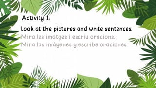 Activity 1:
Look at the pictures and write sentences.
Mira les imatges i escriu oracions.
Mira las imágenes y escribe orac...