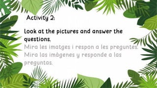 Activity 2:
Look at the pictures and answer the
questions.
Mira les imatges i respon a les preguntes.
Mira las imágenes y ...