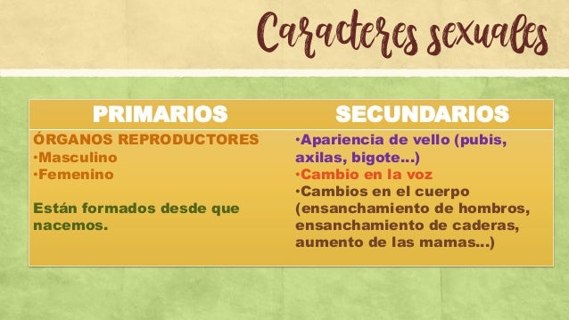 Repaso ciencias naturales tema 3