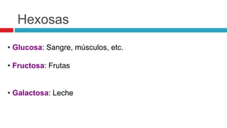 Hexosas
• Glucosa: Sangre, músculos, etc.
• Fructosa: Frutas
• Galactosa: Leche
 