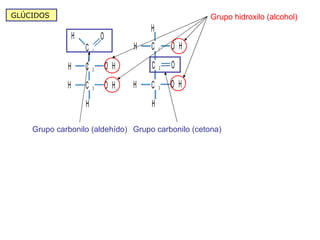 GLÚCIDOS  Grupo hidroxilo (alcohol) Grupo carbonilo (cetona) Grupo carbonilo (aldehído) 