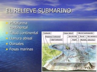EL RELIEVE SUBMARINO Plataforma continental Talud continental Llanura abisal Dorsales Fosas marinas