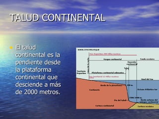 TALUD CONTINENTAL El talud continental es la pendiente desde la plataforma continental que desciende a más de 2000 metros.