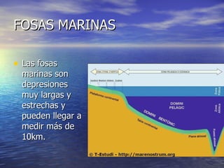FOSAS MARINAS Las fosas marinas son depresiones muy largas y estrechas y pueden llegar a medir más de 10km.