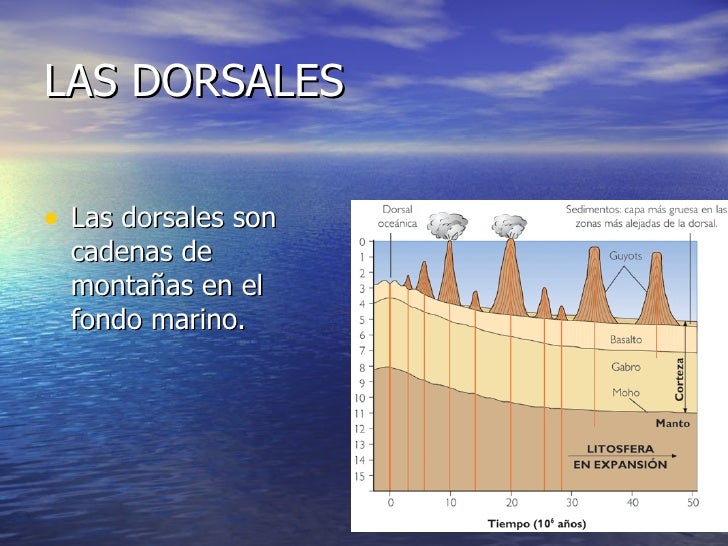 Repaso Del Relieve Submarino