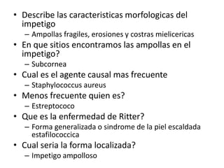• Describe las caracteristicas morfologicas del
impetigo
– Ampollas fragiles, erosiones y costras mielicericas
• En que sitios encontramos las ampollas en el
impetigo?
– Subcornea
• Cual es el agente causal mas frecuente
– Staphylococcus aureus
• Menos frecuente quien es?
– Estreptococo
• Que es la enfermedad de Ritter?
– Forma generalizada o sindrome de la piel escaldada
estafilococcica
• Cual seria la forma localizada?
– Impetigo ampolloso
 