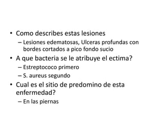 • Como describes estas lesiones
– Lesiones edematosas, Ulceras profundas con
bordes cortados a pico fondo sucio
• A que bacteria se le atribuye el ectima?
– Estreptococo primero
– S. aureus segundo
• Cual es el sitio de predomino de esta
enfermedad?
– En las piernas
 